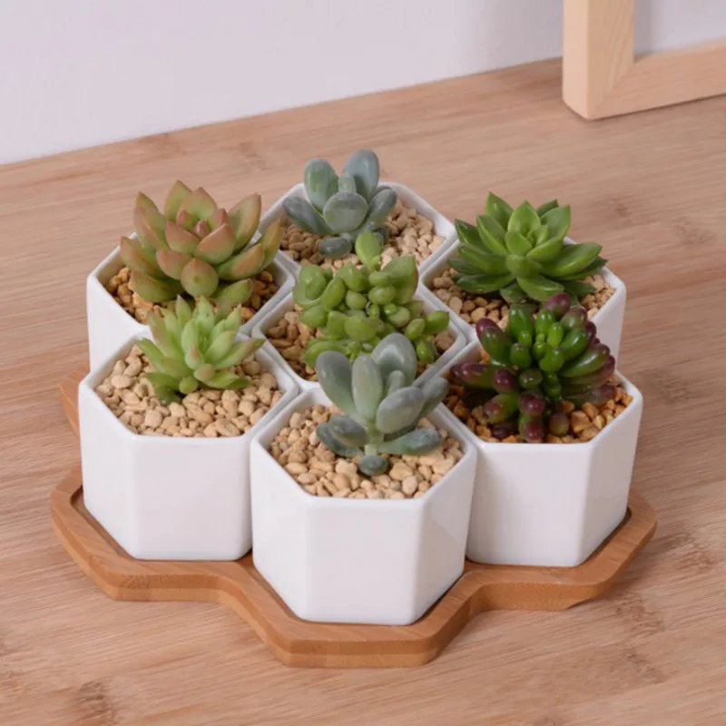 Echeveria Succulent - Набор из 4/7/9/10 шестигранных цветочных горшков,