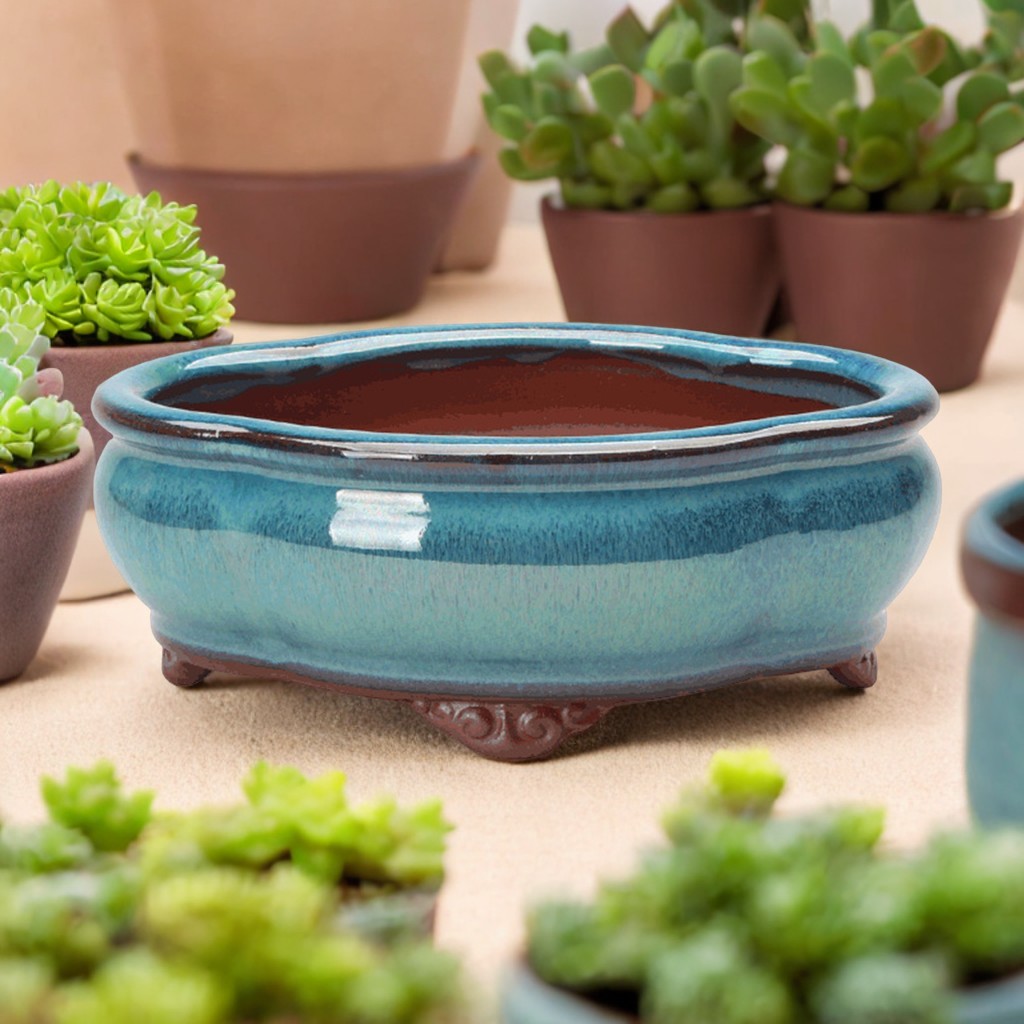 Echeveria Succulent - Керамический сочный цветочный горшок в китайском