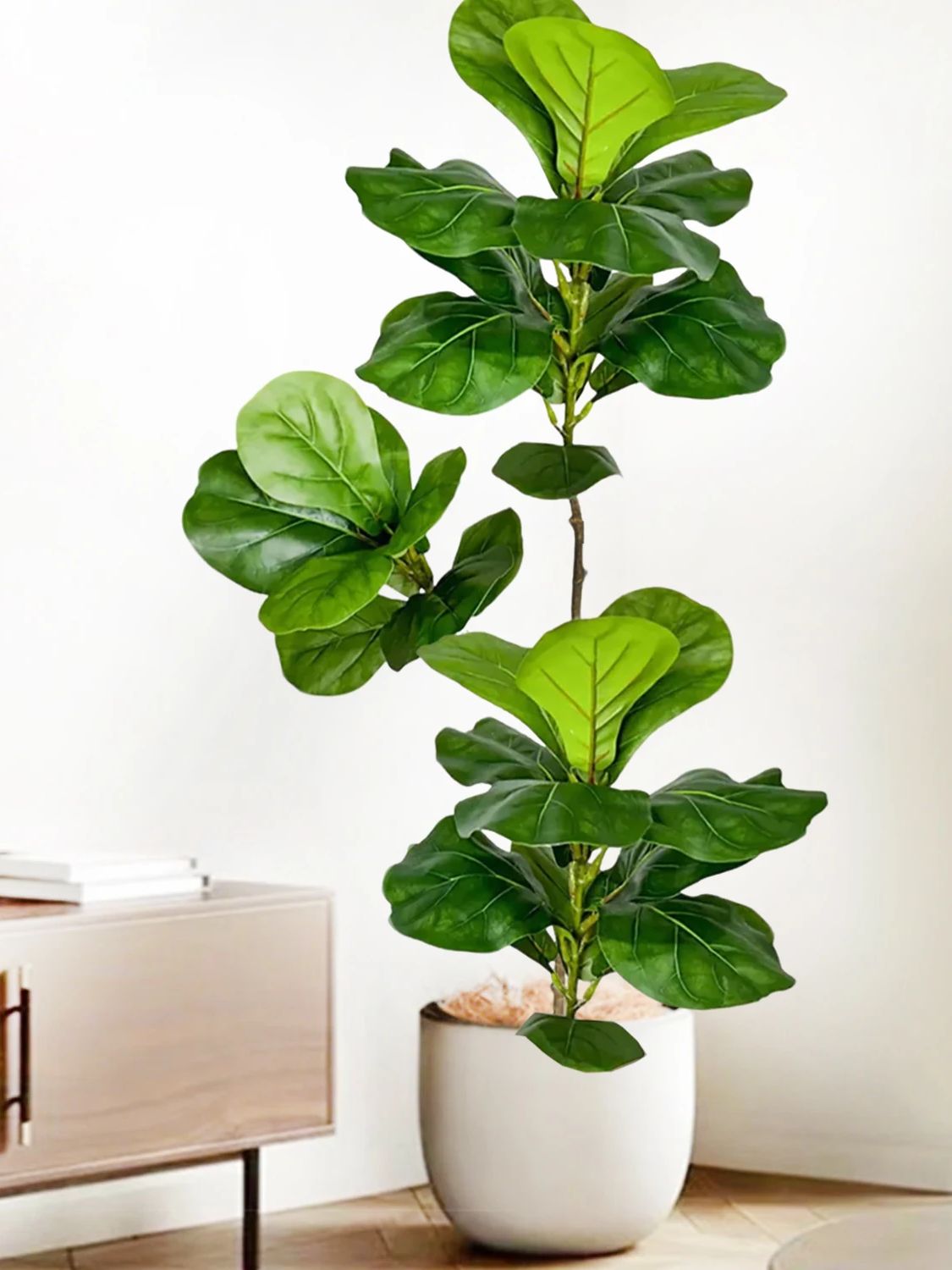 Искусственное дерево Фикус Лир – обзор и цена Ficus Lyrata Tree