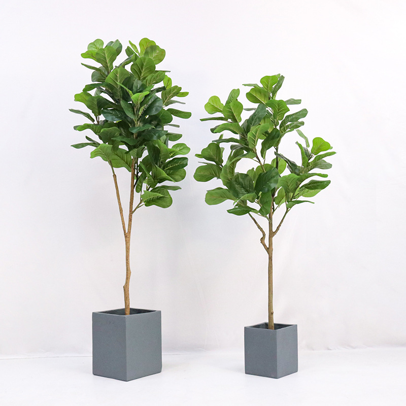 Искусственное пластиковое раст – обзор и цена Ficus Lyrata Tree