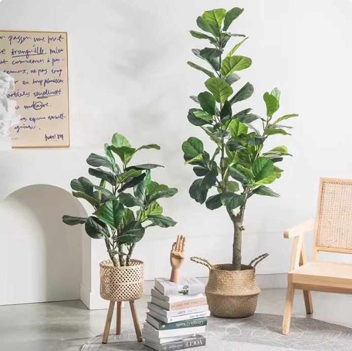 Искусственное пластиковое раст – обзор и цена Ficus Lyrata Tree
