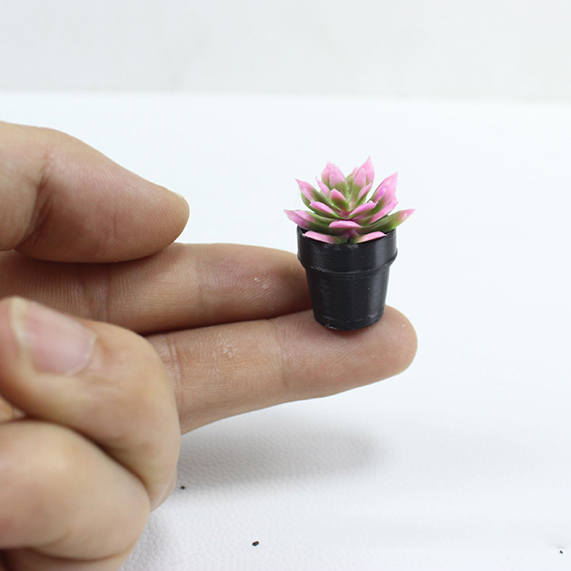 8 шт. миниатюрных пластиковых  – обзор и цена Echeveria Succulent